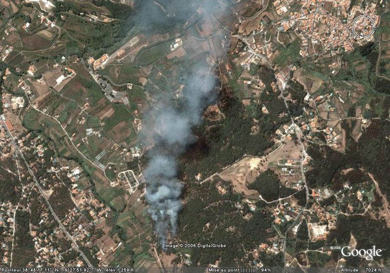 Feu de Foret