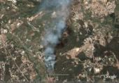 Feu de Foret