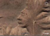 Tete d'Indien
